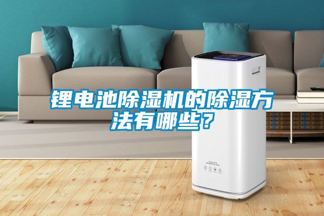 鋰電池除濕機的除濕方法有哪些？