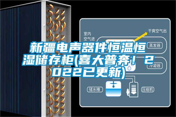 新疆電聲器件恒溫恒濕儲存柜(喜大普奔！2022已更新)