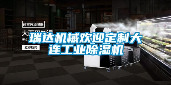 瑞達機械歡迎定制大連工業除濕機