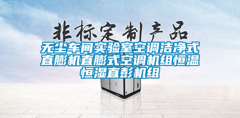 無塵車間實驗室空調潔凈式直膨機直膨式空調機組恒溫恒濕直彭機組