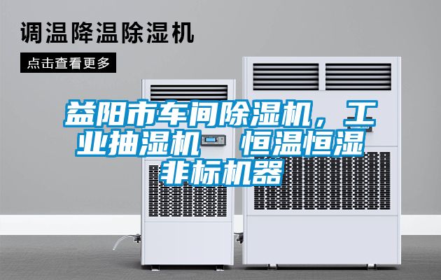 益陽市車間除濕機，工業(yè)抽濕機  恒溫恒濕非標機器