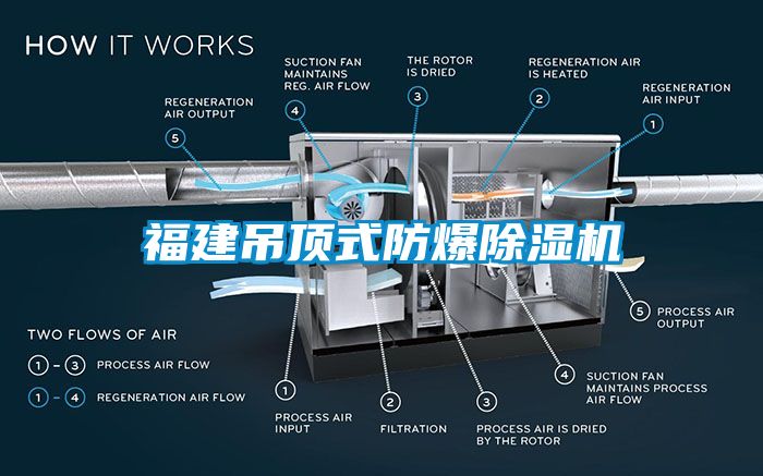 福建吊頂式防爆除濕機