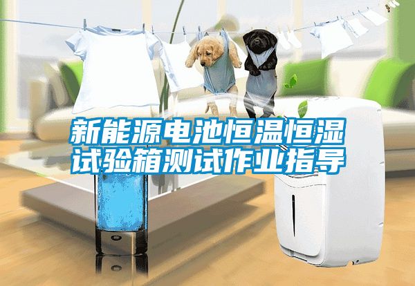 新能源電池恒溫恒濕試驗箱測試作業指導