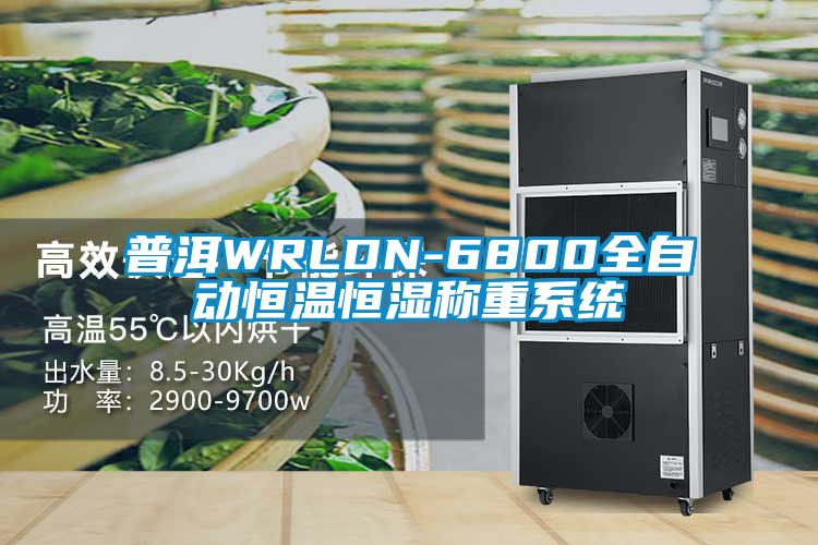 普洱WRLDN-6800全自動恒溫恒濕稱重系統