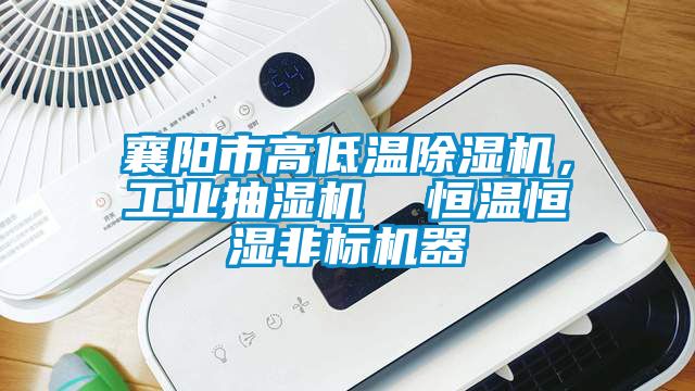 襄陽市高低溫除濕機，工業(yè)抽濕機  恒溫恒濕非標機器