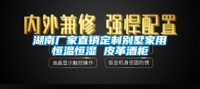 湖南廠家直銷定制別墅家用恒溫恒濕 皮革酒柜