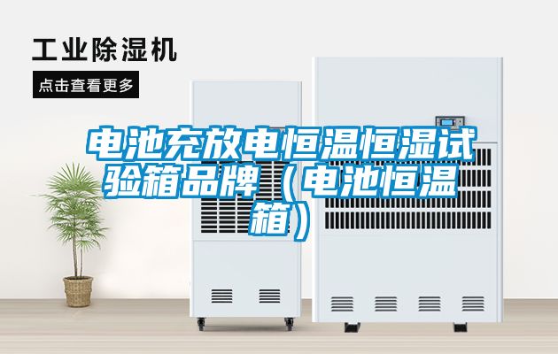 電池充放電恒溫恒濕試驗箱品牌（電池恒溫箱）