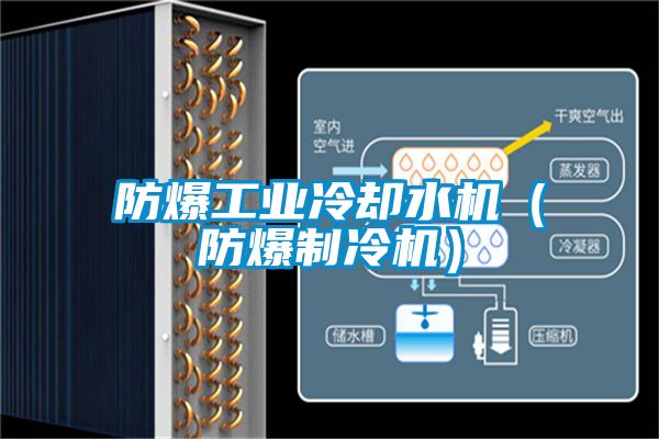 防爆工業冷卻水機（防爆制冷機）