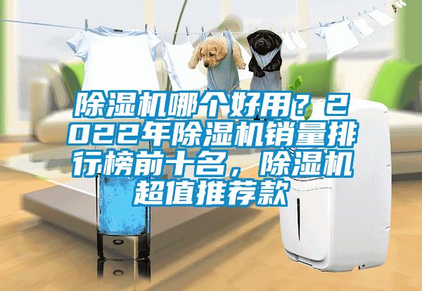 除濕機哪個好用？2022年除濕機銷量排行榜前十名，除濕機超值推薦款