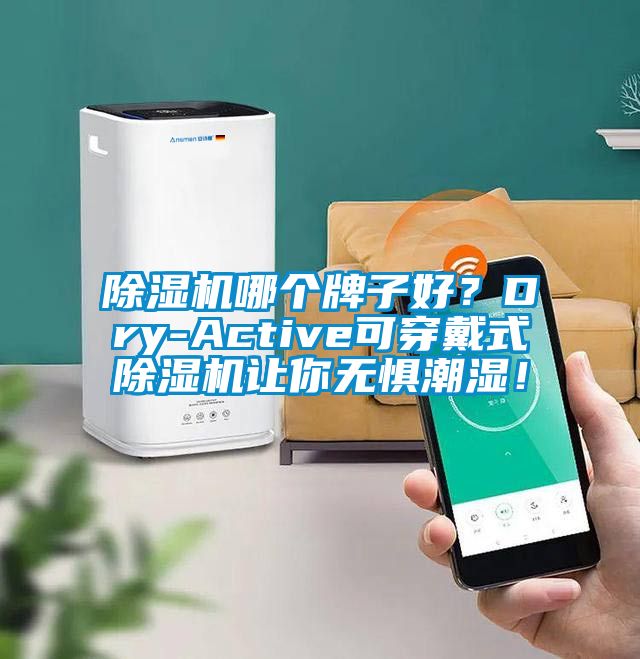 除濕機哪個牌子好？Dry-Active可穿戴式除濕機讓你無懼潮濕！