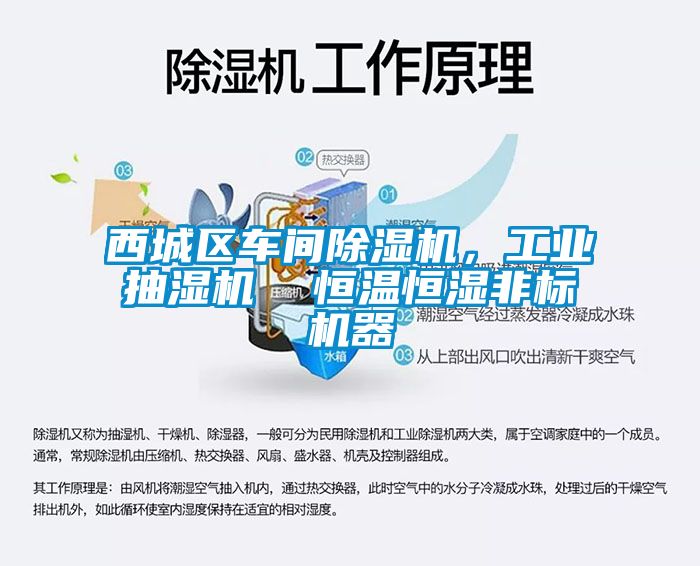 西城區(qū)車間除濕機，工業(yè)抽濕機  恒溫恒濕非標機器