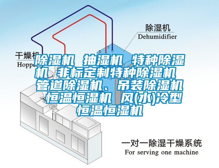 除濕機 抽濕機 特種除濕機 非標定制特種除濕機 管道除濕機、吊裝除濕機 恒溫恒濕機 風(水)冷型恒溫恒濕機