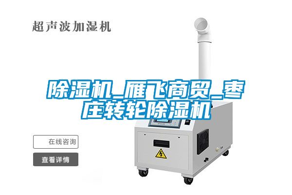 除濕機_雁飛商貿_棗莊轉輪除濕機