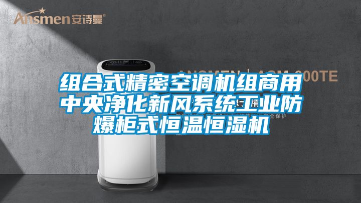 組合式精密空調機組商用中央凈化新風系統工業防爆柜式恒溫恒濕機