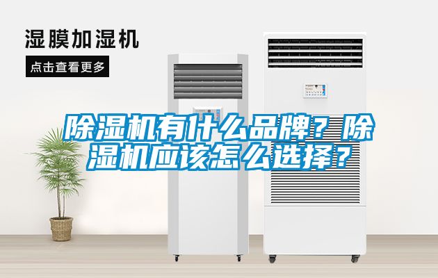 除濕機有什么品牌？除濕機應該怎么選擇？