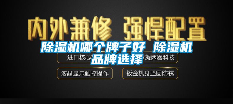 除濕機哪個牌子好 除濕機品牌選擇