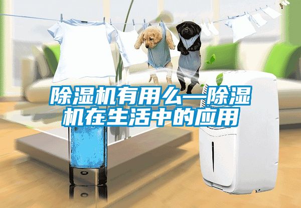 除濕機有用么—除濕機在生活中的應用