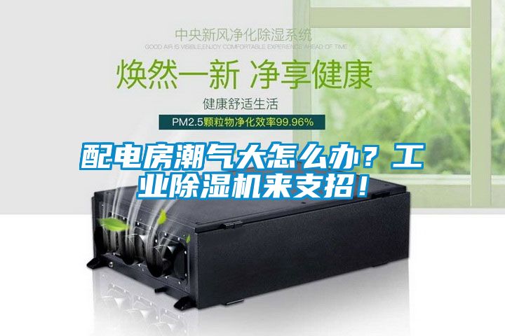 配電房潮氣大怎么辦？工業除濕機來支招！