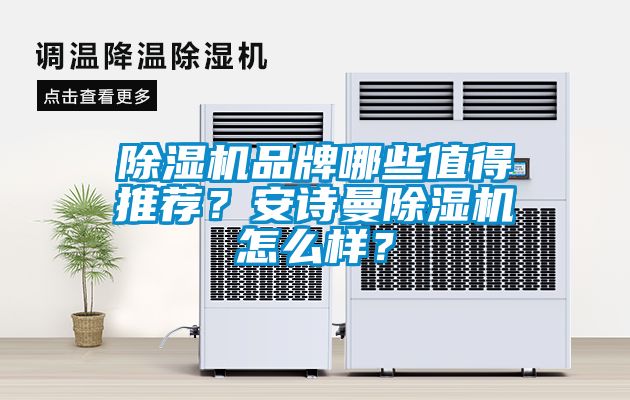 除濕機品牌哪些值得推薦？安詩曼除濕機怎么樣？