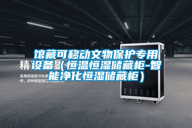 館藏可移動文物保護專用設備（恒溫恒濕儲藏柜-智能凈化恒濕儲藏柜）