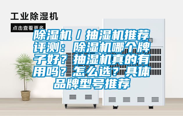 除濕機／抽濕機推薦評測：除濕機哪個牌子好？抽濕機真的有用嗎？怎么選？具體品牌型號推薦