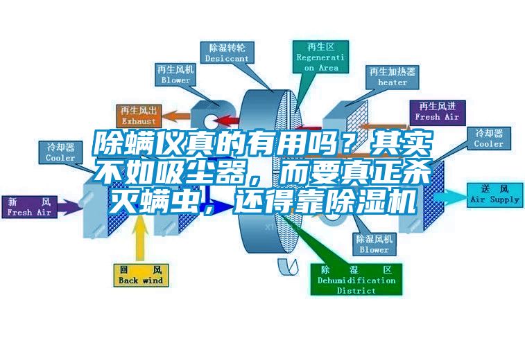 除螨儀真的有用嗎？其實不如吸塵器，而要真正殺滅螨蟲，還得靠除濕機